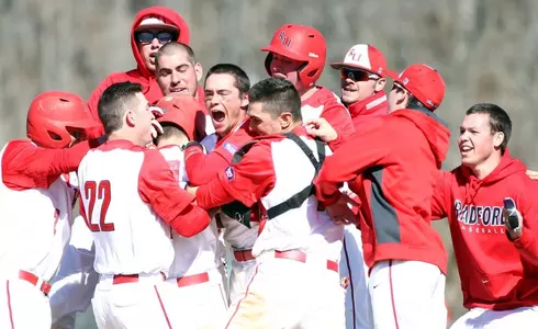 Baseball Walkoff