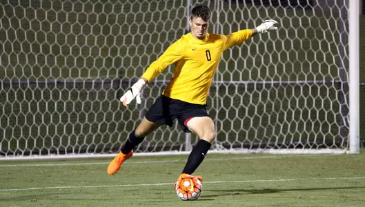 Johnson-UVA2015-1