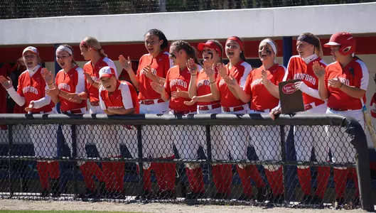 Team bench