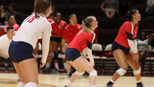 Volleyball Team Dig