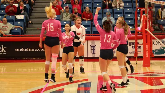 Dig Pink Celebration photo