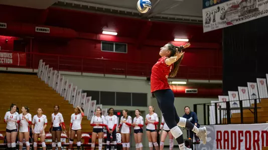 Shelby Hernandez Serve