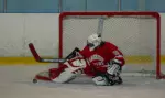 Women's Hockey Defeats Neumann, 5-3 Image
