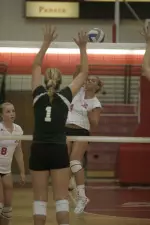 Women's Volleyball Falls at Saint Francis, 3-1 Image