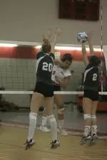 Women's Volleyball Falls at Robert Morris Image
