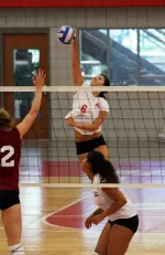 Women's Volleyball Blanks Bryant on the Road, 3-0 Image