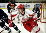 Men's Ice Hockey Falls to AIC, 2-1 Image