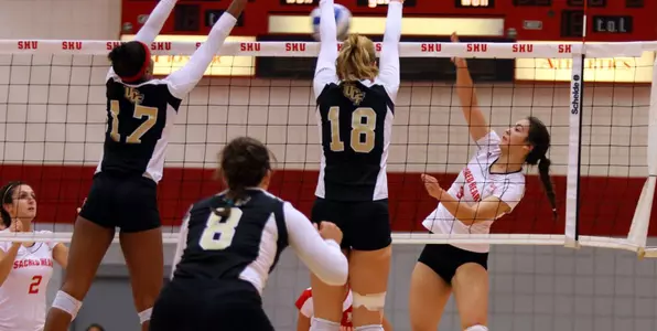 Pioneers Drop Second Straight; Fall to CCSU 3-1 Image