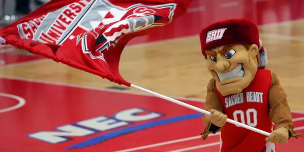 Pioneers Host Monmouth Live on NEC TV Saturday Night Image