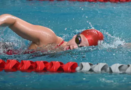 Swimming Drops Manhattan 116-89 Image