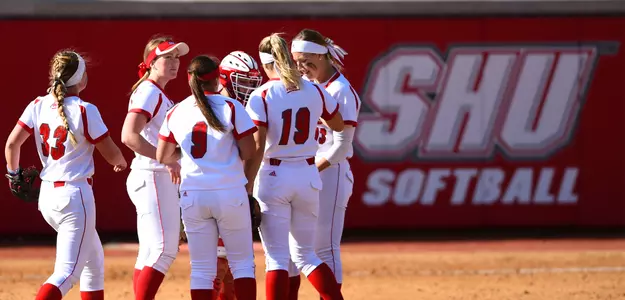 Softball Announces Class of 2021 Image