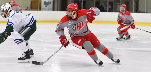 Men's Hockey Falls to Air Force on New Year's Eve Image