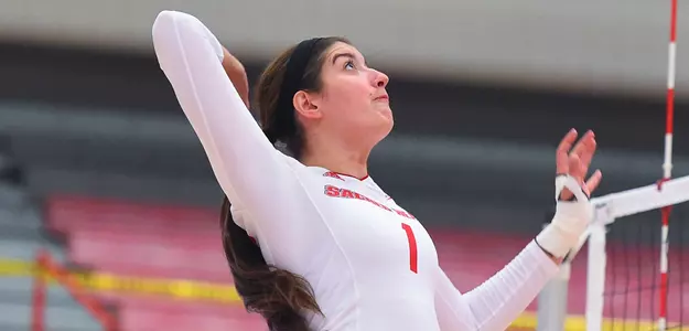 Pioneers Open Western Pennsylvania Trip With 3-0 Loss At Robert Morris Image