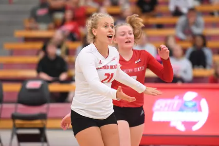 Women's Volleyball's Ciszek and Nelis Earn NEC Weekly Awards Honors Image