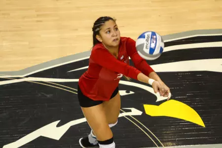 Women's Volleyball Falls Short in NEC Championship Against Bryant Image