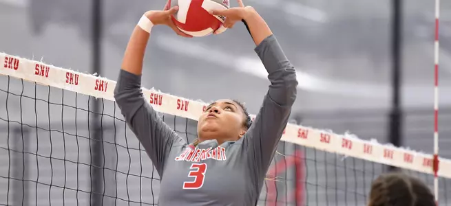 Ciszek Triple-Double Leads Volleyball To 3-1 Win Over CCSU Image