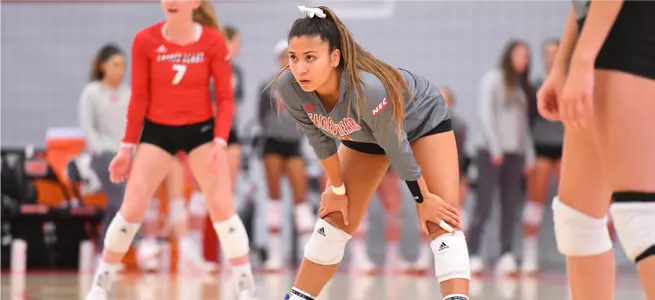 Volleyball Falls 3-1 To RMU Image
