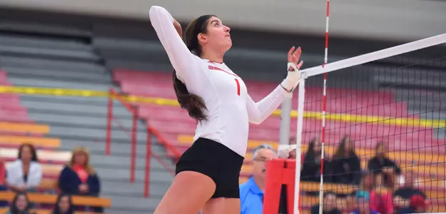 Volleyball Sweeps FDU Image