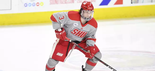 Men's Ice Hockey Falls 3-2 to Bentley Snapping Six Game Win Streak Image