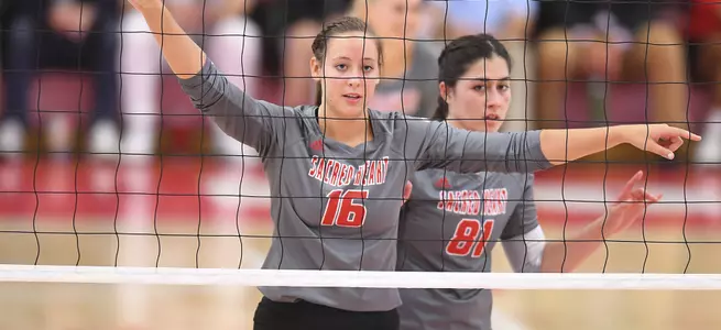Volleyball Sweeps NJIT In Home Opener Image
