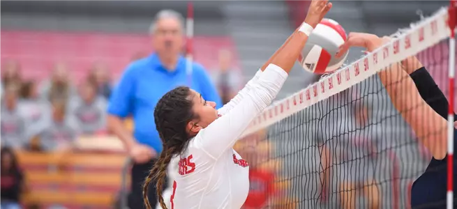 Women's Volleyball Falls to Harvard in Five Sets Image