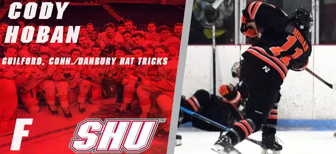 Men's Ice Hockey Adds Offensive Power Over Semester Break Image