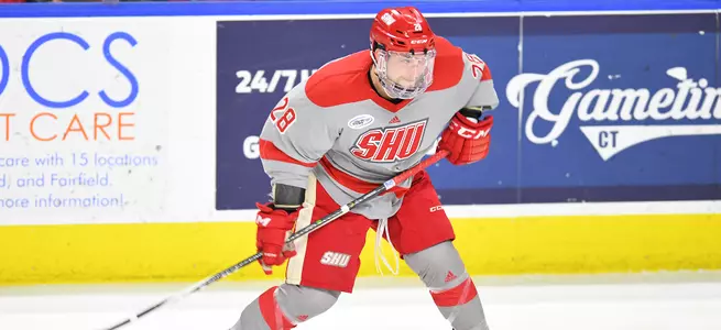 Men's Ice Hockey Falls To Holy Cross 6-3 Image