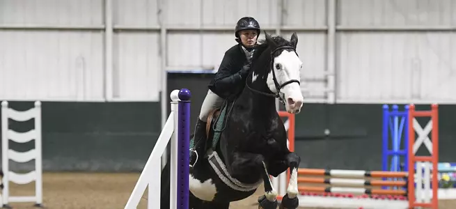 Equestrian Tabbed High Point Team In Final Home Show Of The Season Image