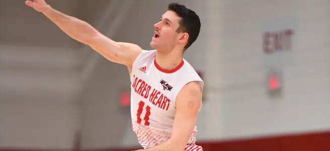 Men's Volleyball Falls 3-0 To Saint Francis Image