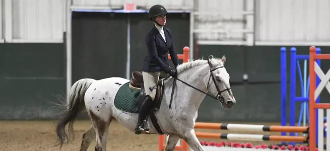 Equestrian Named High Point Team At UCONN For Sixth Time This Season Image