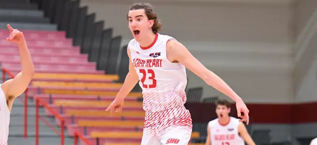 Men's Volleyballs To Barton Image