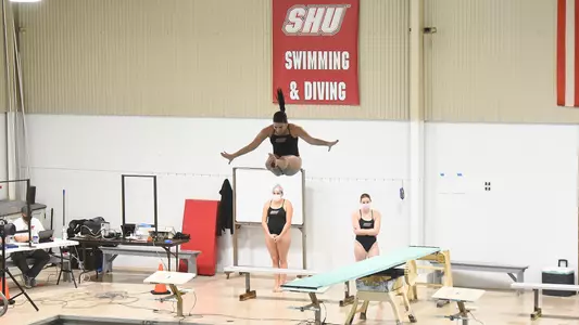Swim Dive