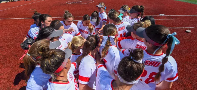 Softball Picked to Finish Third in 2021 NEC Preseason Coaches' Poll Image