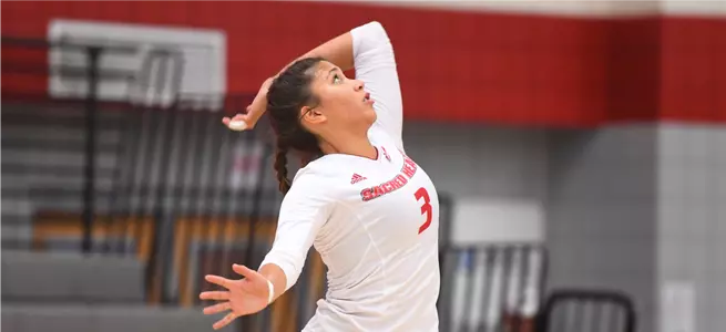 SHU Women's Volleyball Splits at Albany Image