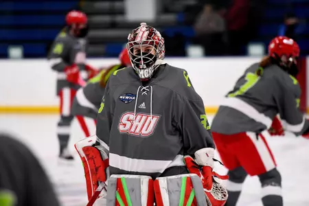 Women's Hockey Falls 8-0 at Robert Morris Image