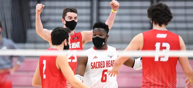 Men's Volleyball Splits at St. Francis Brooklyn Image