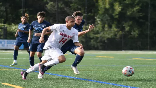 Rob Taylor (Quinnipiac)