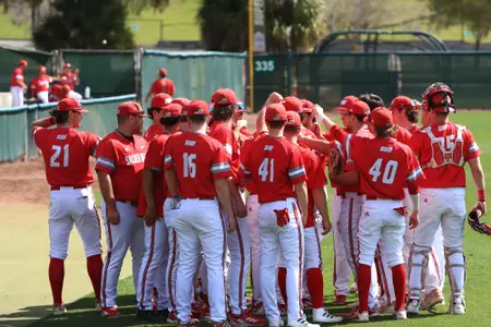 Baseball Team Huddle