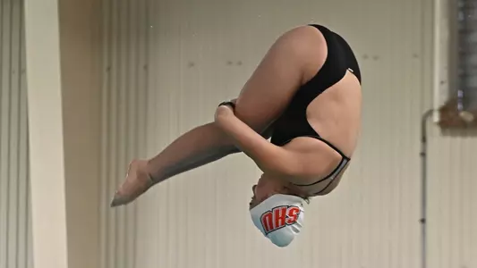 McNicholas Dive
