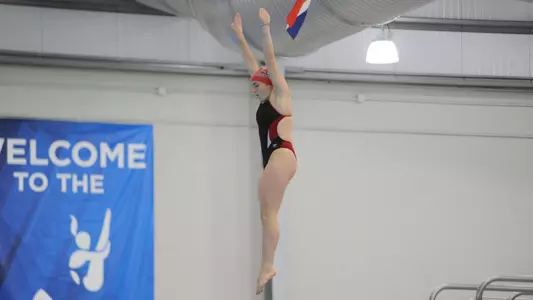 McNicholas Dive