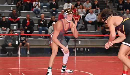 S. Jarosz - Wranglemania