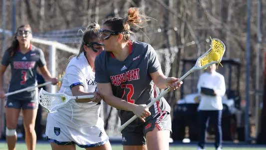 Werlau at Quinnipiac