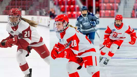 NEWHA postseason awards