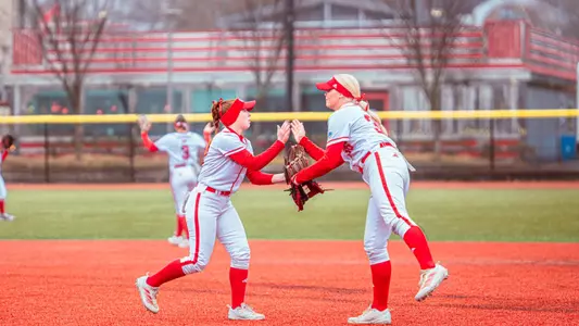 Softball Handshake