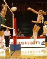 Volleyball Falls at Murray State Image