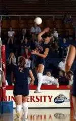 Volleyball Falls at EKU Image