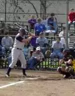 Softball Falls Again in Final Inning Image
