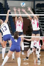 Volleyball's Sunday Toughness Lifts Bulldogs Past Spartans Image