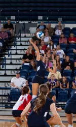 Samford Sweeps Western Carolina, 3-0 Image