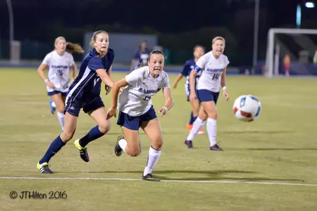 Allie Lourie action